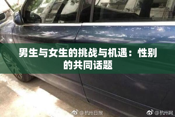 男生与女生的挑战与机遇：性别的共同话题