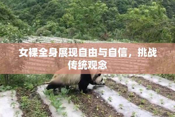 女裸全身展现自由与自信，挑战传统观念