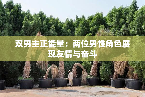 双男主正能量：两位男性角色展现友情与奋斗
