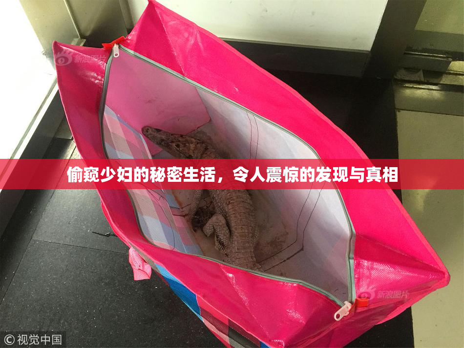 偷窥少妇的秘密生活，令人震惊的发现与真相