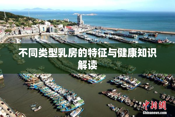 不同类型乳房的特征与健康知识解读