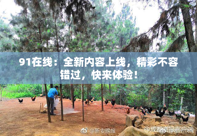 91在线：全新内容上线，精彩不容错过，快来体验！