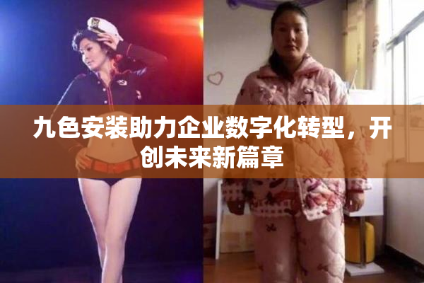 九色安装助力企业数字化转型，开创未来新篇章