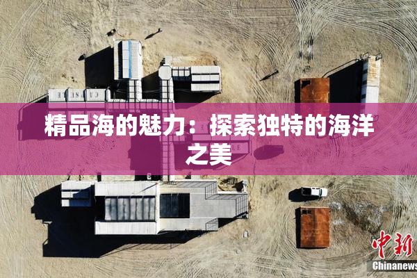 精品海的魅力：探索独特的海洋之美