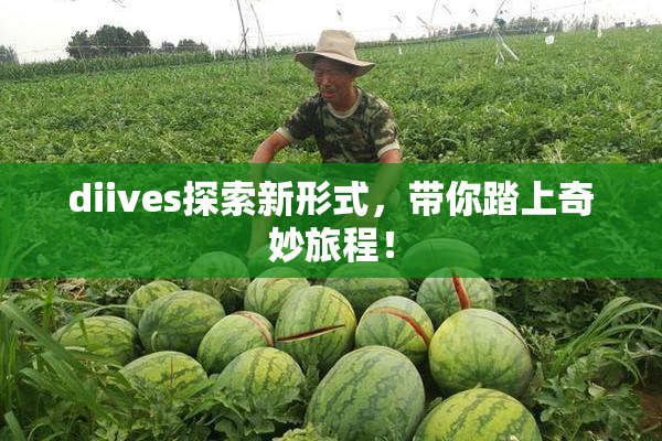 diives探索新形式，带你踏上奇妙旅程！