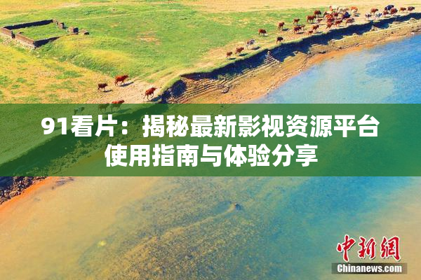 91看片：揭秘最新影视资源平台使用指南与体验分享