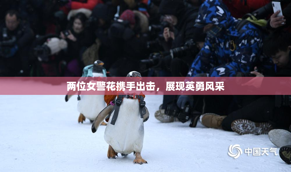 两位女警花携手出击，展现英勇风采