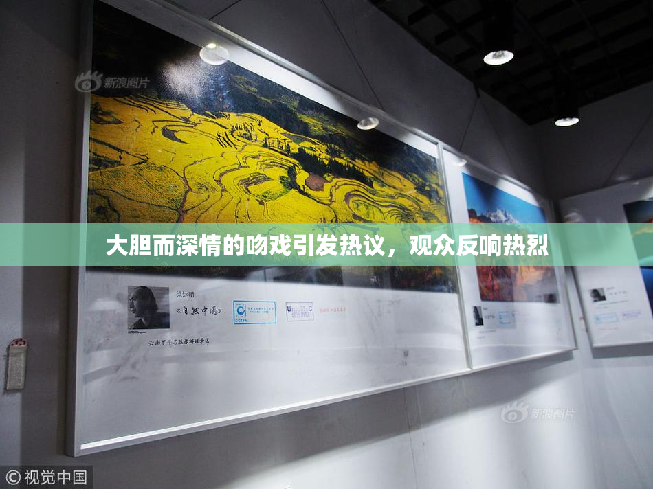 大胆而深情的吻戏引发热议，观众反响热烈
