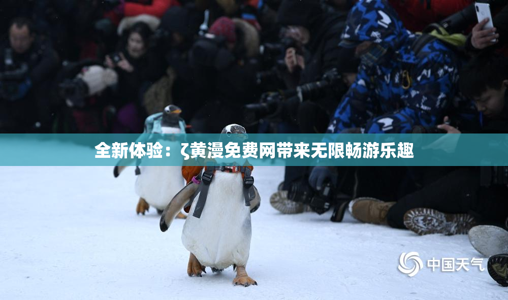 全新体验：ζ黄漫免费网带来无限畅游乐趣