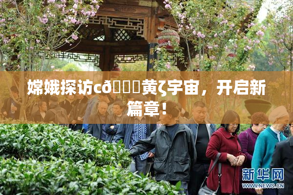 嫦娥探访c🔞黄ζ宇宙，开启新篇章！