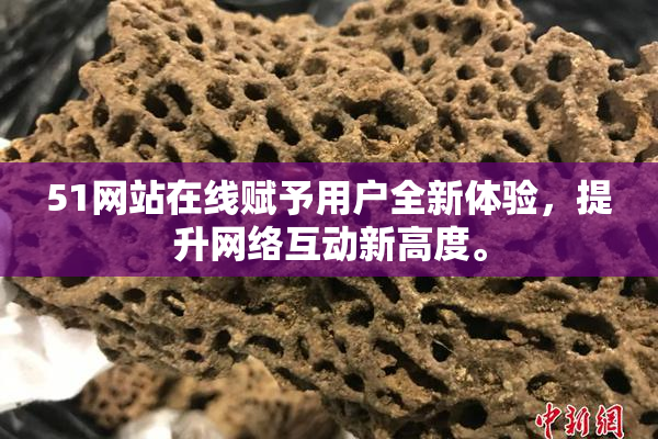51网站在线赋予用户全新体验，提升网络互动新高度。