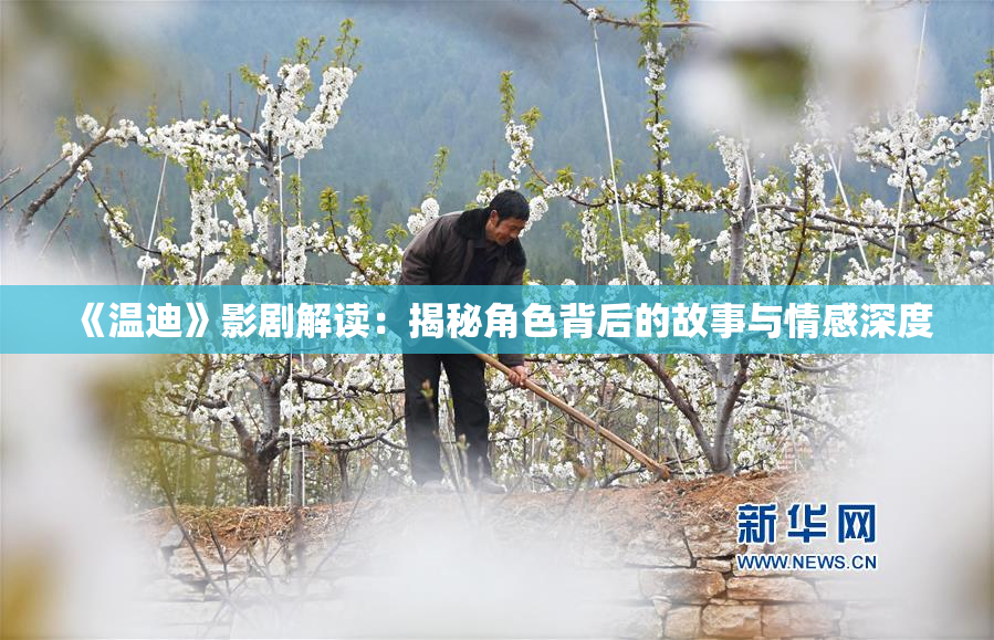 《温迪》影剧解读：揭秘角色背后的故事与情感深度