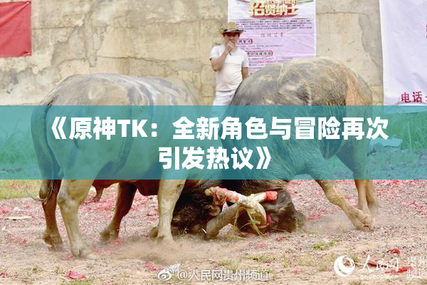 《原神TK：全新角色与冒险再次引发热议》