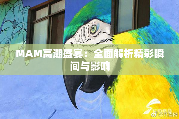 MAM高潮盛宴：全面解析精彩瞬间与影响