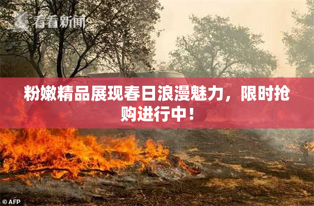 粉嫩精品展现春日浪漫魅力，限时抢购进行中！