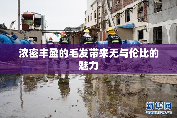 浓密丰盈的毛发带来无与伦比的魅力