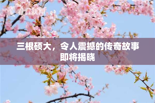 三根硕大，令人震撼的传奇故事即将揭晓