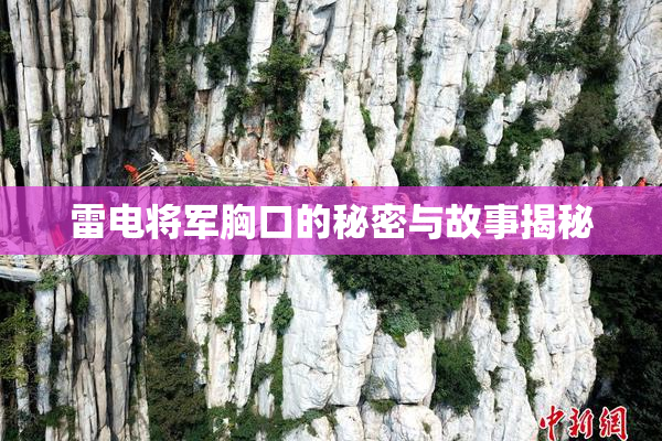 雷电将军胸口的秘密与故事揭秘