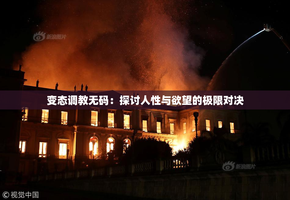 变态调教无码：探讨人性与欲望的极限对决
