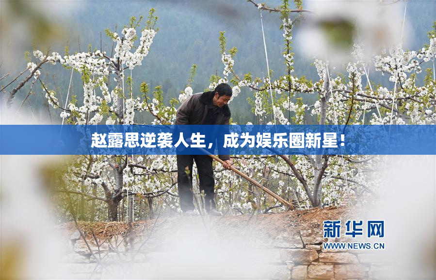 赵露思逆袭人生，成为娱乐圈新星！