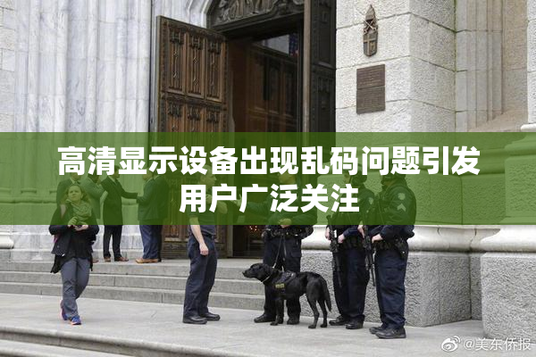 高清显示设备出现乱码问题引发用户广泛关注