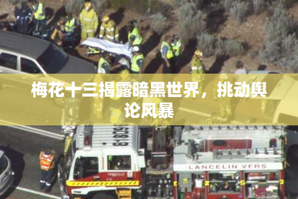 梅花十三揭露暗黑世界，挑动舆论风暴