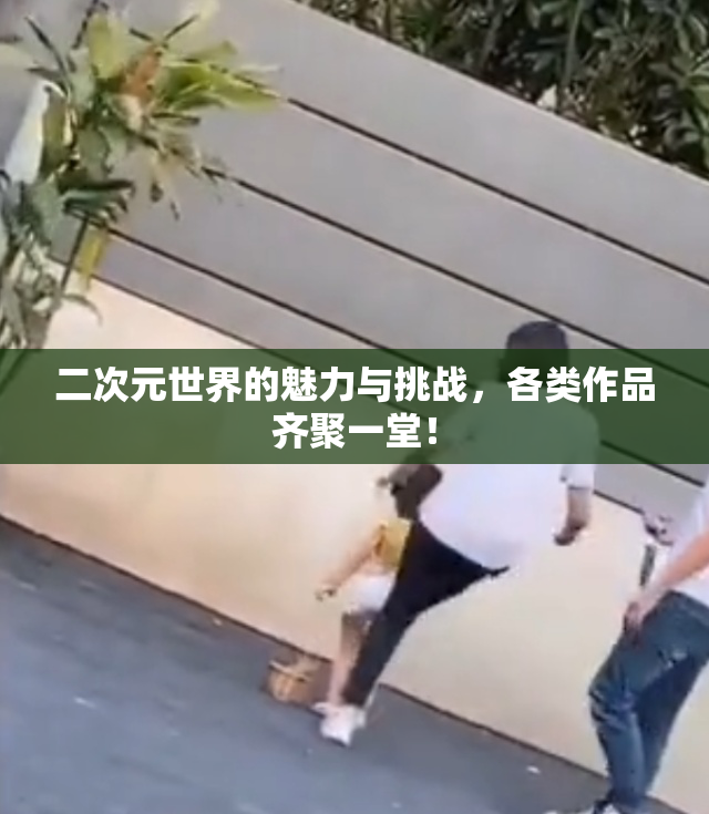二次元世界的魅力与挑战，各类作品齐聚一堂！