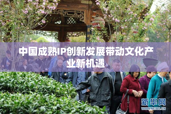 中国成熟IP创新发展带动文化产业新机遇