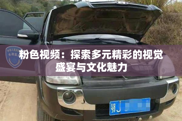 粉色视频：探索多元精彩的视觉盛宴与文化魅力