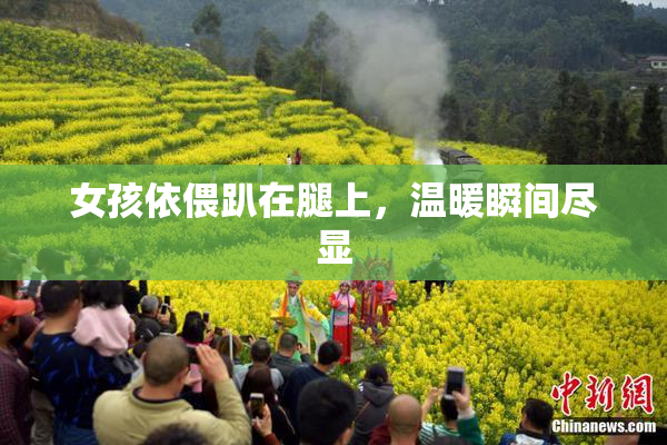 女孩依偎趴在腿上，温暖瞬间尽显