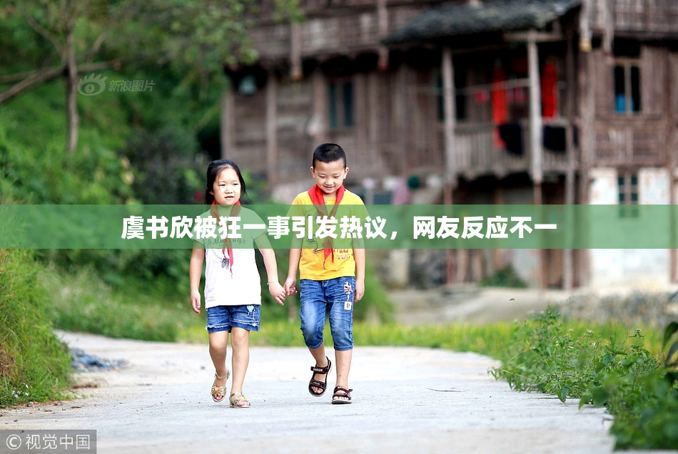 虞书欣被狂一事引发热议，网友反应不一