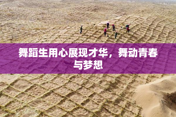 舞蹈生用心展现才华，舞动青春与梦想