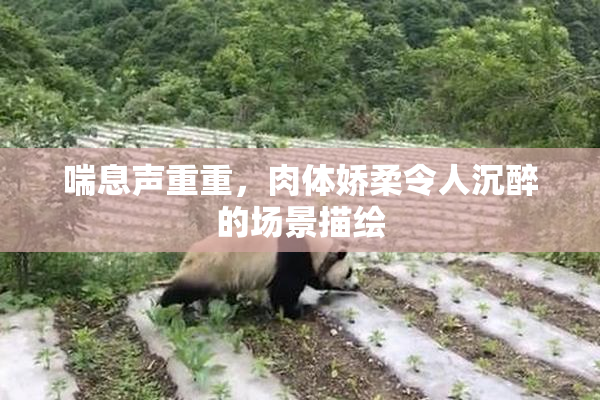 喘息声重重，肉体娇柔令人沉醉的场景描绘