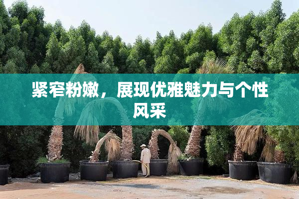 紧窄粉嫩，展现优雅魅力与个性风采