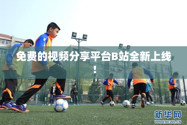 免费的视频分享平台B站全新上线！