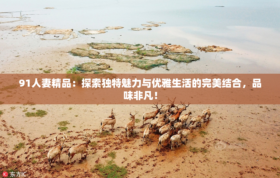 91人妻精品：探索独特魅力与优雅生活的完美结合，品味非凡！