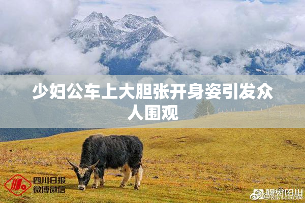 少妇公车上大胆张开身姿引发众人围观
