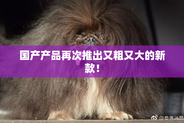 国产产品再次推出又粗又大的新款！
