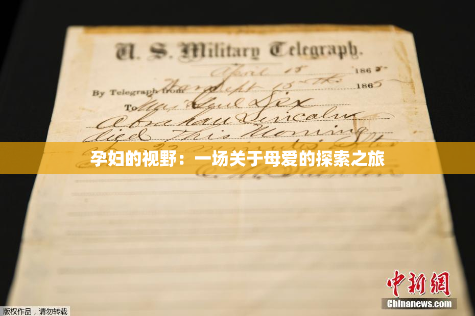 孕妇的视野：一场关于母爱的探索之旅