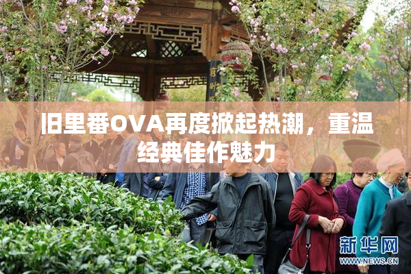 旧里番OVA再度掀起热潮，重温经典佳作魅力