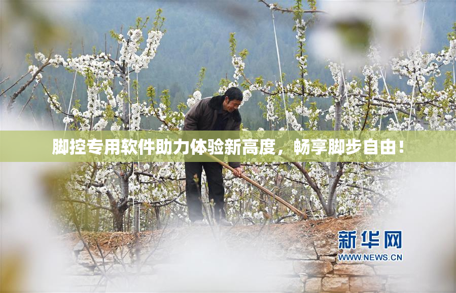 脚控专用软件助力体验新高度，畅享脚步自由！