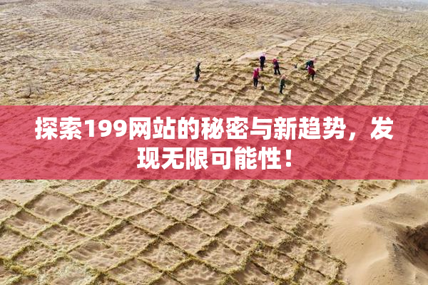 探索199网站的秘密与新趋势，发现无限可能性！