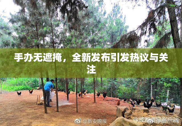 手办无遮掩，全新发布引发热议与关注