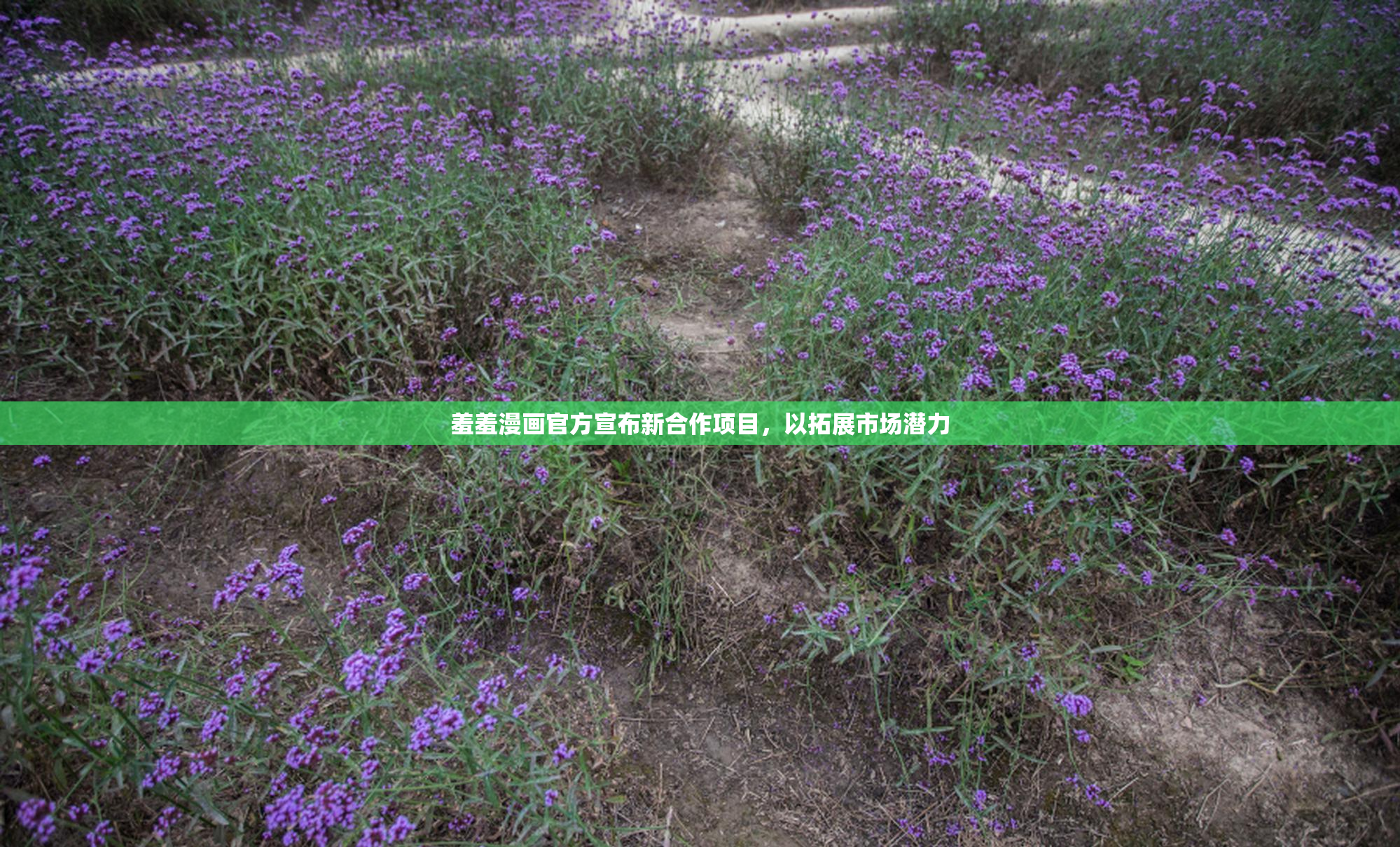 羞羞漫画官方宣布新合作项目，以拓展市场潜力