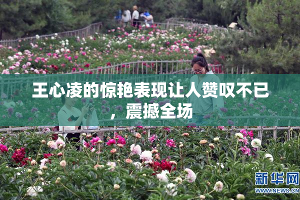 王心凌的惊艳表现让人赞叹不已，震撼全场