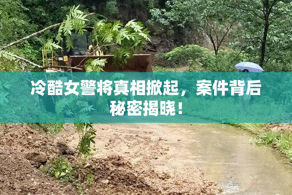 冷酷女警将真相掀起，案件背后秘密揭晓！