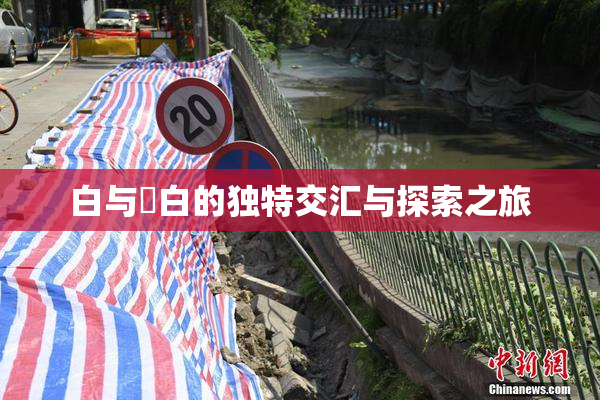 白与晄白的独特交汇与探索之旅