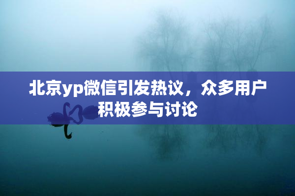 北京yp微信引发热议，众多用户积极参与讨论