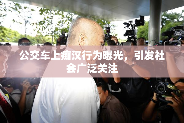 公交车上痴汉行为曝光，引发社会广泛关注