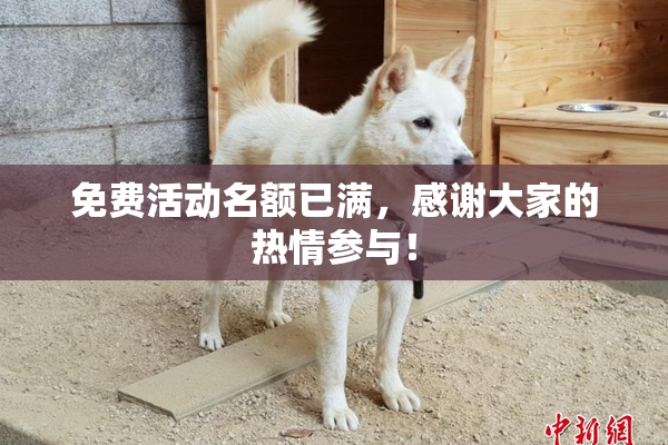 免费活动名额已满，感谢大家的热情参与！